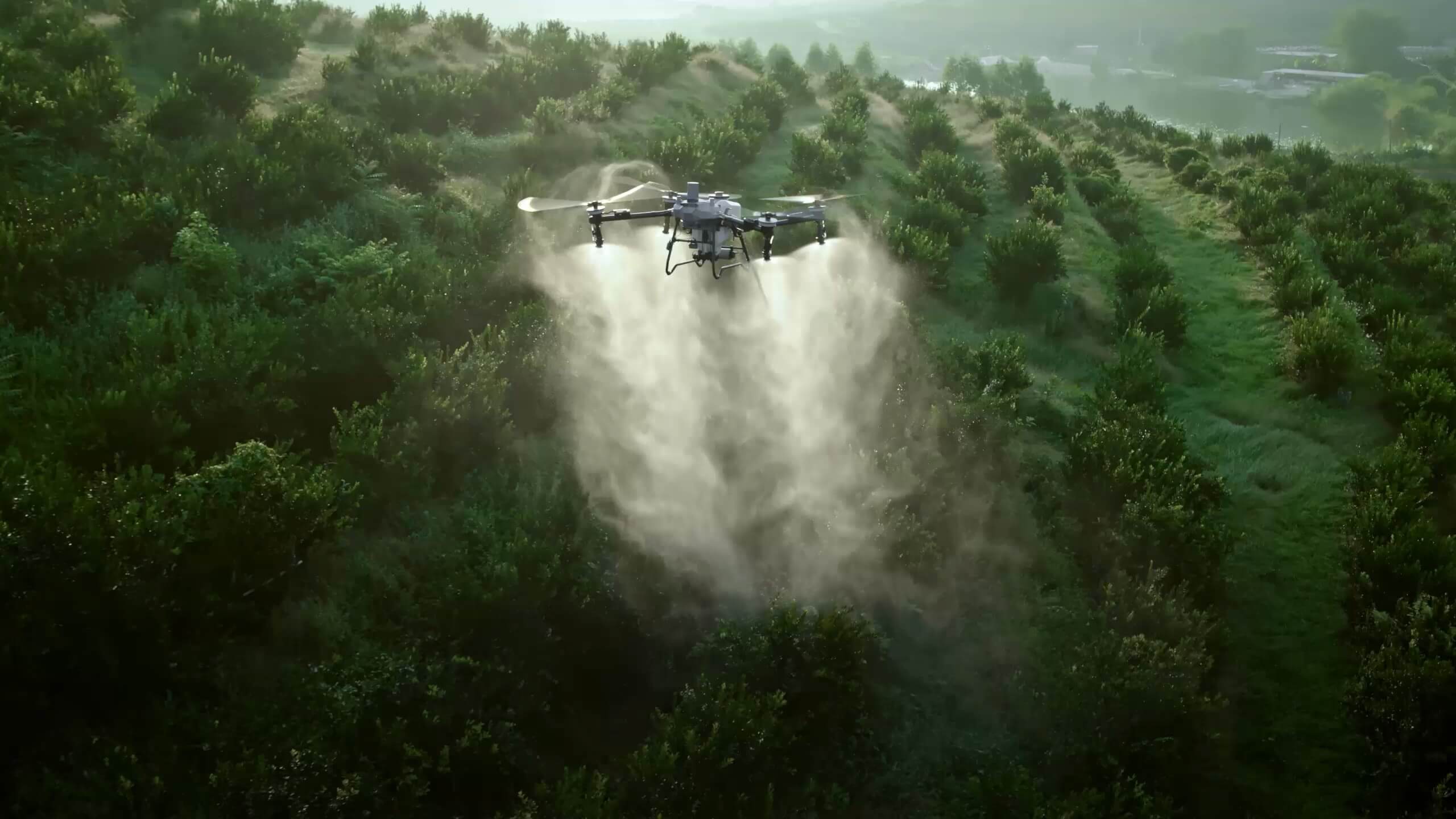 DJI Agras agricultural spraying drone operating over dense vegetation