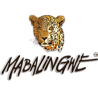 Mabalingwe Game Reserve logo