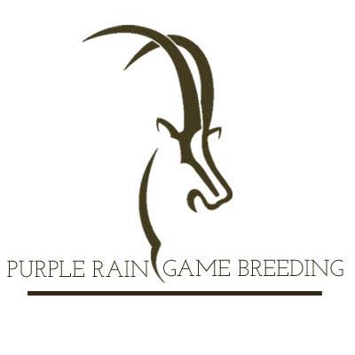 Purple Rain Game Breeding logo