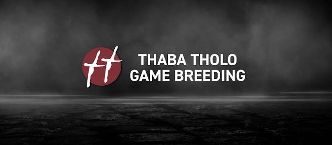 Thaba Tholo Game Breeding logo